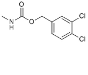 bacitracin
