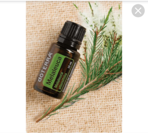 Масло чайного дерева от DoTerra