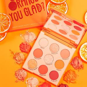 Orange You Glad? ColourPop Eyeshadow Pallette