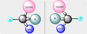 trans-Benzyl chloro bis triphenylphosphine palladium