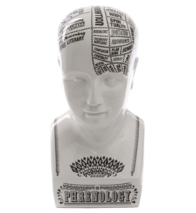 Бюст By Petrantoni «Phrenology» от Seletti