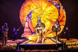 Представление Cirque du Soleil