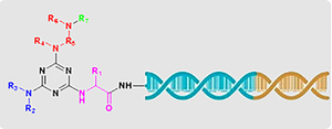 amine coupling kit