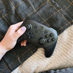pro controller