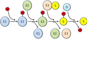 ubiquitin like modifiers