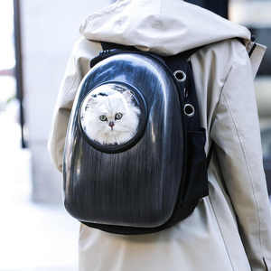Космический рюкзак для котов