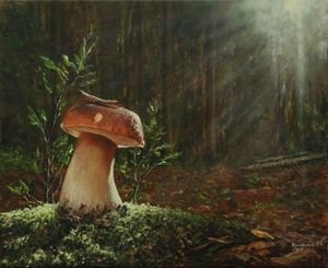 За грибами в лес