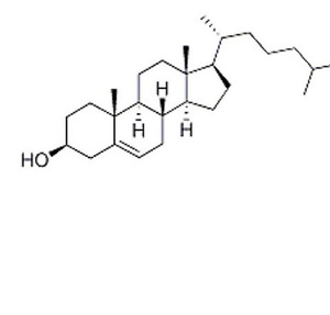 sirna modification