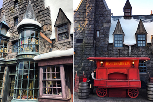 Побывать в парке "Wizarding World of Harry Potter"