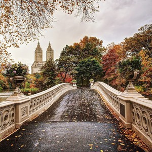 autumnal walks