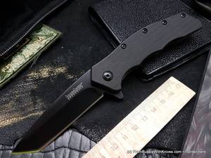 Kershaw Thicket 1328