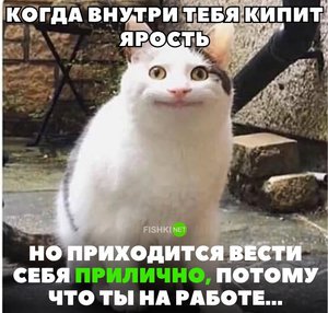 Устроится на работу