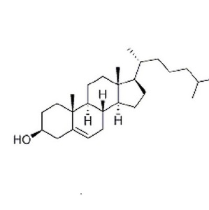 cholesterol conjugated sirna