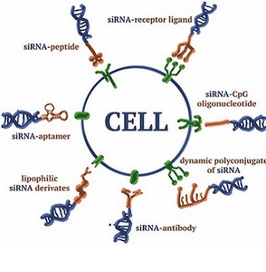 rnai delivery methods