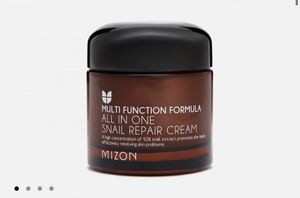 MIZON all in one snail repair cream