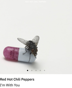 Пластинка red hot chili peppers I’m with you