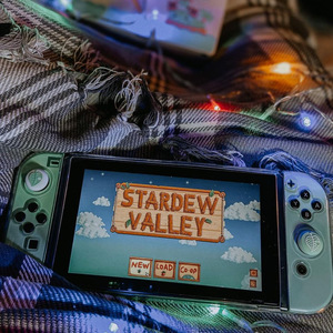 nintendo switch animal crossing edition