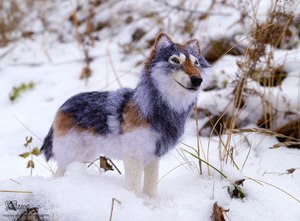 Волк сухого валяния смешанной техникой