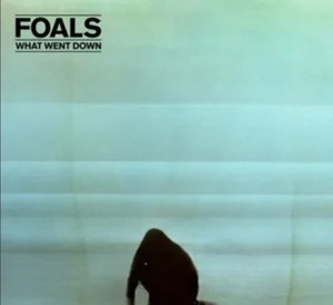 Виниловая пластинка Foals – What Went Down