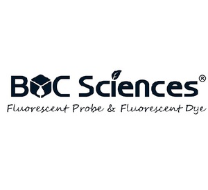 high throughput transfection