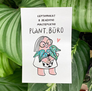 Сертификат в plant buro