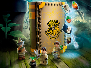 Lego Harry Potter 76384  Учёба в Хогвартсе: Урок травологии