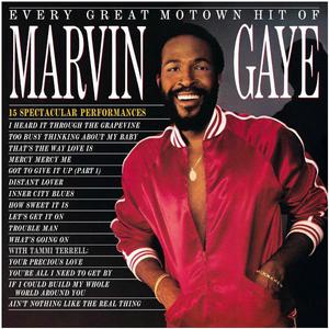 Пластинка MARVIN GAYE - Every Great Motown Hit Of Marvin Gaye