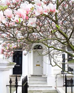 London Blooming