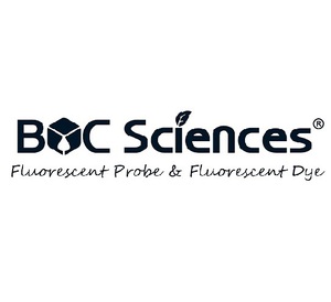 cell transfection