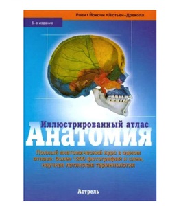 Иллюстрированный атлас Анатомия - Роен Йоганнес