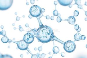Sphingolipids