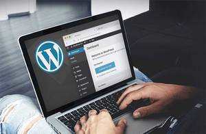 Освоить Wordpress