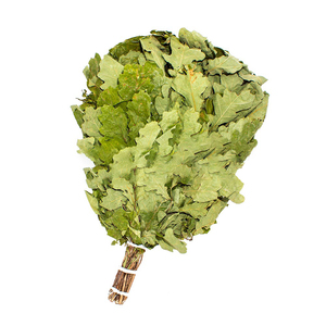 Банный веник дубовый