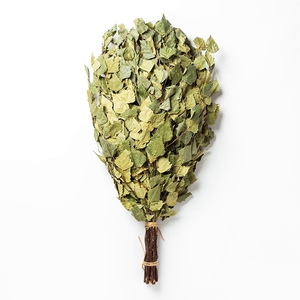 Банный веник березовый