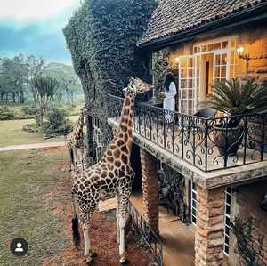 Giraffe Manor