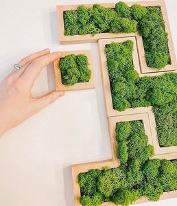 Кусок мха