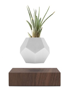 Lyfe Planter - walnut