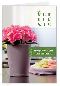 Сертификаты на цветы и растения