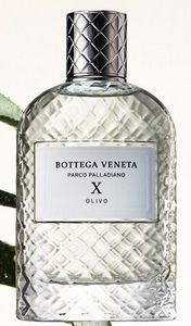 Bottega Veneta Parco Palladiano X Olivo