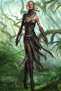 Крафт-доспех Себиллы из Дивинити