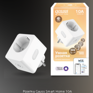 Розетка Gauss Smart Home 10А