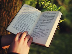 Прочитать первую книгу на английском языке!!!