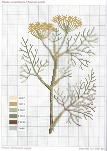 DMC Herbarium Fenouil