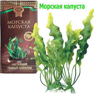 Шоколад с морской капустой