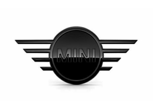 Шильдик mini чёрный