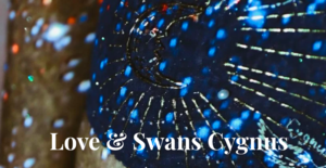 love&swans