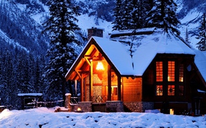 пожить зимой в коттедже с камином, деревянной мебелью, сауной и красивым видом из окон