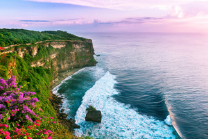 Пожить полгода на Бали