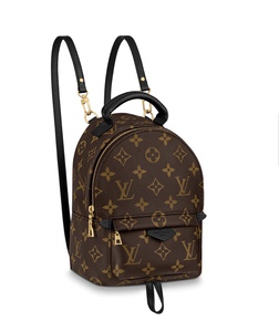 Рюкзак Louis Vuitton