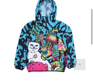 Ветровка Ripndip